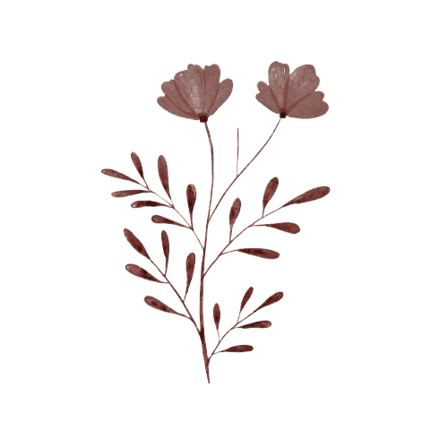A watercolor illustration of a branch with pinkish-brown leaves and two large fan-shaped flowers.