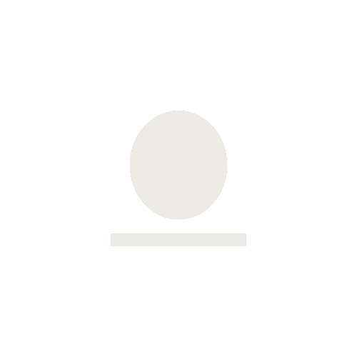 A stylized black and white icon of an egg resting on a horizontal line.