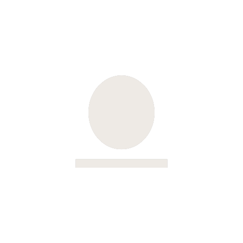 A black and white icon of a person, depicted as a circle for the head and a rectangle for the body, with a line underneath representing a surface or platform.
